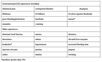 Gi (Gi Experiences)